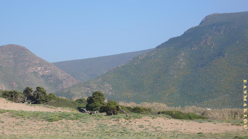 ORAN MARS 2012 29 DEPUIS MADAGH.JPG